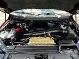 Used 2020 Ford F150 Platinum w/ Equipment Group 701A Luxury image 2