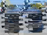 New 2025 Ford Expedition Active image 2