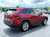 Used 2025 Toyota RAV4 XLE Premium image 5