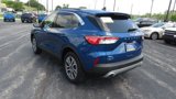Certified 2022 Ford Escape SEL image 5