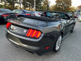 Used 2017 Ford Mustang Premium w/ Equipment Group 201A image 6