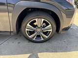 Certified 2024 Lexus UX 250h FWD image 6