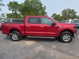 New 2025 Ford F150 XLT w/ Equipment Group 301A Standard image 6