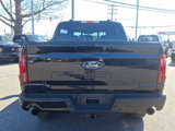 New 2025 Ford F150 XLT w/ Equipment Group 303A High image 6