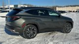New 2025 Hyundai Tucson Limited image 4