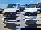 New 2025 Ford Expedition Max Platinum image 2