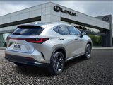 New 2025 Lexus NX 450h+ AWD w/ Luxury Package image 4
