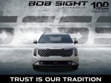 New 2026 Kia Carnival SX image 3
