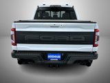 Used 2023 Ford F150 Raptor image 6