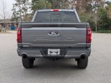 New 2025 Ford F150 XLT w/ Equipment Group 303A High image 4
