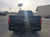 New 2025 Ford F150 Platinum w/ Equipment Group 702A High image 6