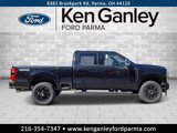 New 2025 Ford F250 XLT image 4