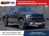 New 2025 Ford F150 Raptor image 1