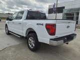 New 2025 Ford F150 XLT image 3