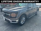 New 2024 Ford F150 XLT w/ Equipment Group 303A High image 4