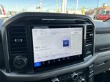 New 2025 Ford F150 XLT w/ Equipment Group 303A High image 5