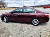 Used 2014 Honda Accord EX-L image 4