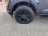 Used 2024 Ford F150 Lariat image 6
