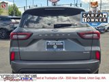 Used 2024 Ford Escape ST-Line image 4
