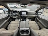 New 2025 Ford F250 Platinum image 5