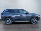 New 2025 Hyundai Tucson Limited image 4