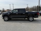 New 2025 Ford F150 XLT w/ Equipment Group 302A MID image 2