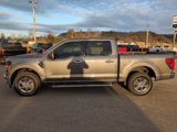 Used 2024 Ford F150 XLT image 2
