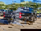 New 2025 Ford F350 Platinum image 3