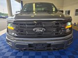New 2025 Ford F150 XLT image 2