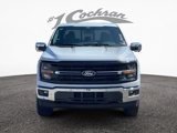 New 2025 Ford F150 XLT w/ Equipment Group 303A High image 2