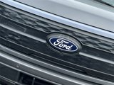 New 2025 Ford F150 Lightning Platinum image 3