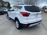 Used 2019 Ford Escape SEL image 5