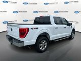 Certified 2022 Ford F150 XLT w/ Equipment Group 302A High image 2