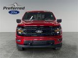 New 2025 Ford F150 XLT image 4
