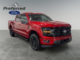 New 2025 Ford F150 XLT image 3