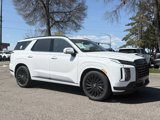 New 2025 Hyundai Palisade Calligraphy image 6