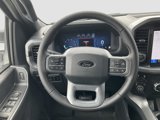 New 2025 Ford F150 XLT w/ Equipment Group 302A MID image 3