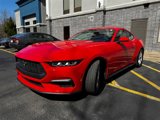 Used 2024 Ford Mustang Coupe image 3