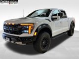 Used 2025 Ford F150 Raptor image 3