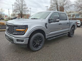 New 2025 Ford F150 STX image 3