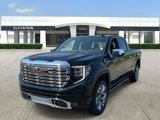 New 2025 GMC Sierra 1500 Denali w/ Denali Reserve Package image 3