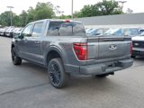 New 2025 Ford F150 Platinum w/ Equipment Group 702A High image 4