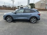 New 2025 Ford Escape ST-Line w/ Tech Pack #1 image 5