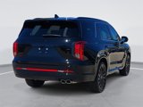 New 2025 Hyundai Palisade Calligraphy image 5