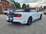 Used 2022 Ford Mustang GT Premium w/ Equipment Group 401A image 5