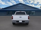 New 2025 Ford F150 XLT w/ Equipment Group 302A MID image 5
