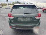 Certified 2024 Subaru Forester Limited image 4