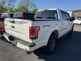 Used 2017 Ford F150 XLT w/ Equipment Group 302A Luxury image 5