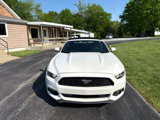 Used 2017 Ford Mustang Convertible w/ Equipment Group 051A image 5