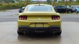 New 2025 Ford Mustang Premium image 4
